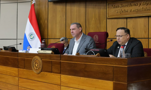 Comisión dictamina a favor de declarar emergencia en Alto Paraguay