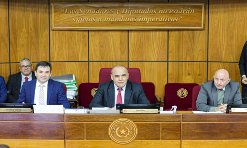 Senado da media sanción a proyecto que agiliza autorización de viajes de menores