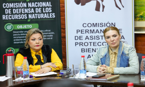 Avanza estudio de modificaciones a la Ley de Bienestar y Protección Animal