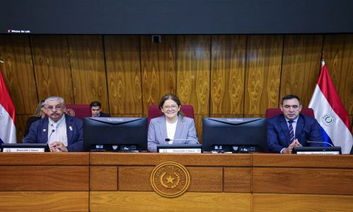 Salud Pública e IPS presentan sus propuestas presupuestarias para 2027