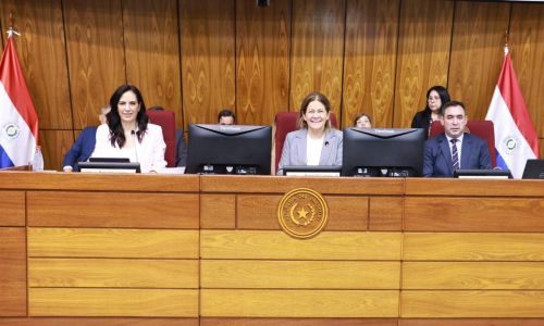 Bicameral recibió propuestas presupuestarias del MOPC y la ANDE