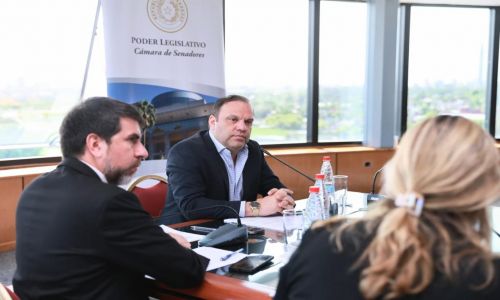 Plantean modificaciones al proyecto que crea el Sistema Nacional de Cuidados