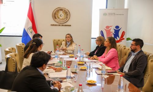Buscan fortalecer legislación contra el criadazgo y el trabajo infantil