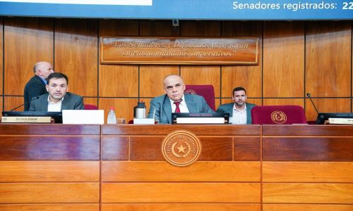 Senadores instan a analizar con responsabilidad los informes del BCP