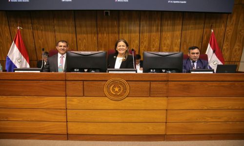 MAG y MINNA exponen sus propuestas presupuestarias para 2027