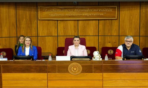 Conversatorio reúne perspectivas sobre la protección de la niñez y la familia