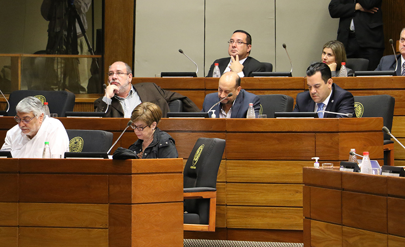 Bicameral con senadores 3