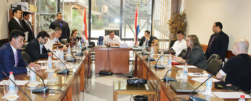 Constitucionales con Llano