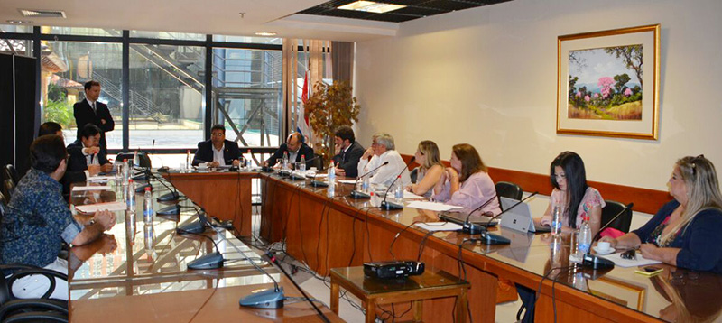 comision de salud 2