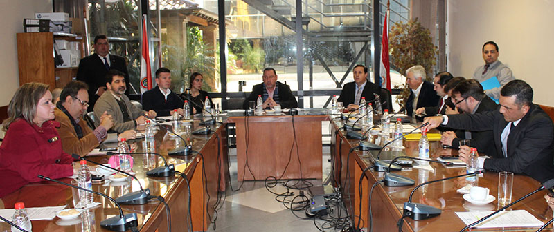 constitucionales