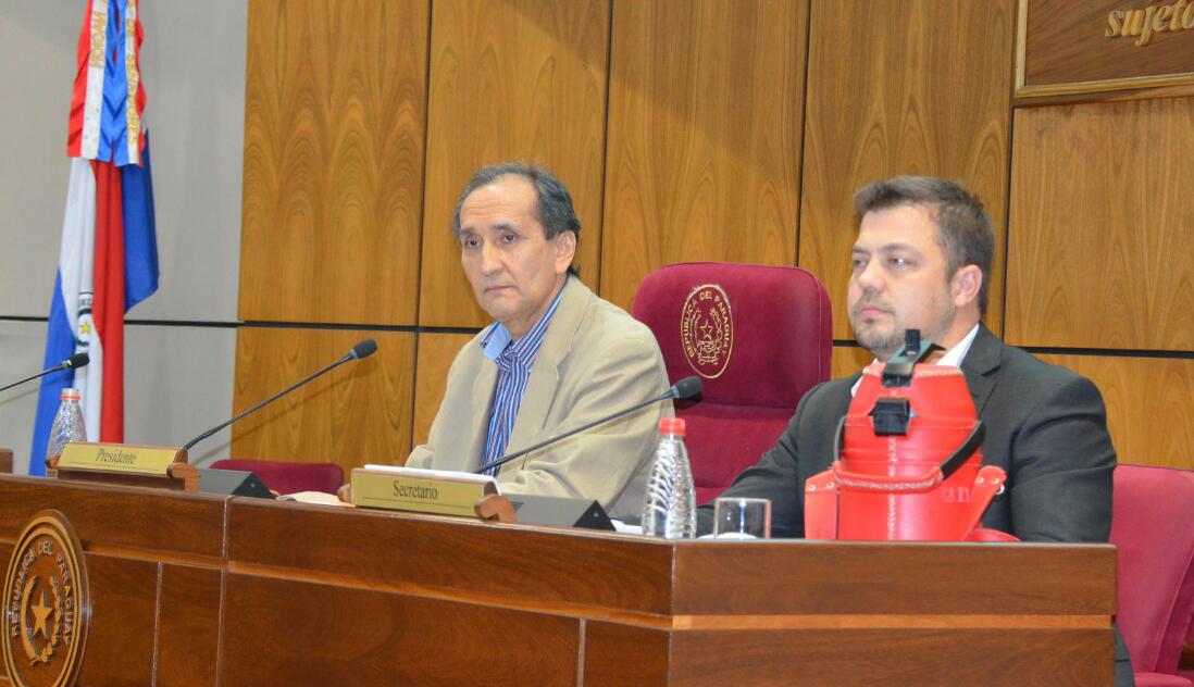 Comisión Bicameral de Investigación 1