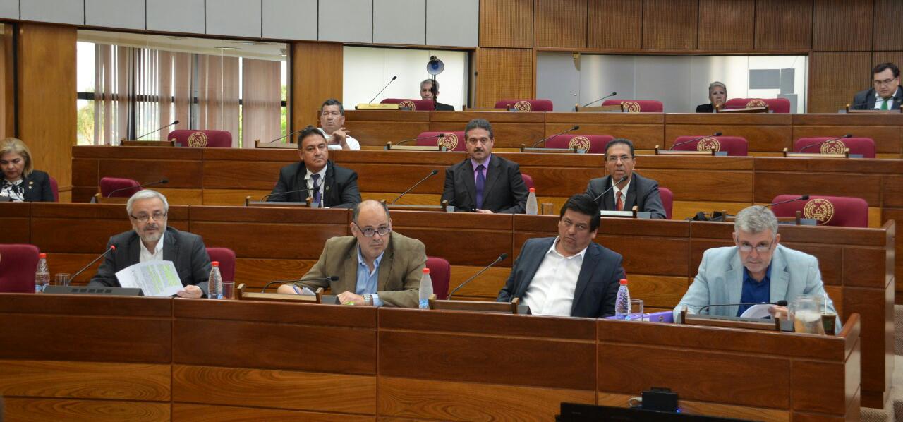 Comisión Bicameral de investigació 3