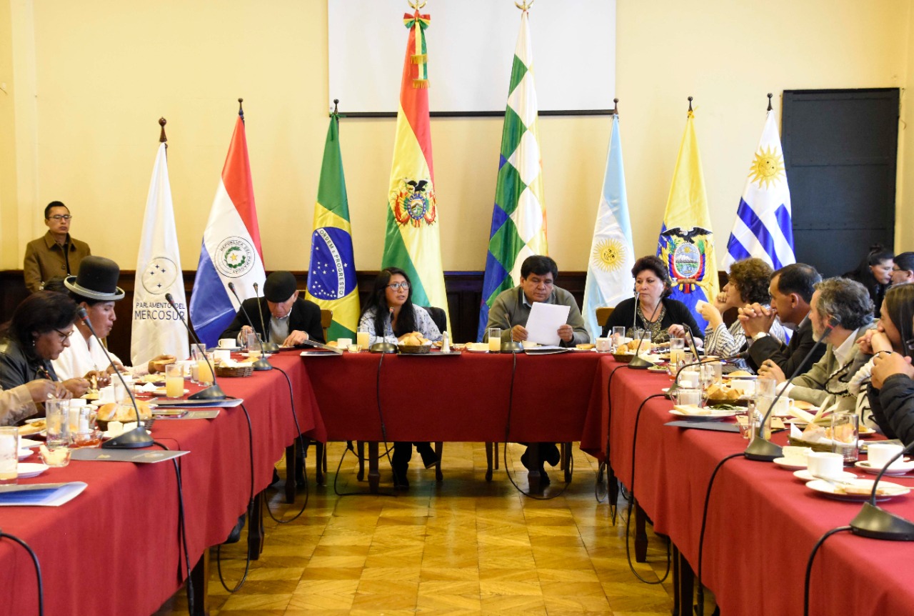 canese bolivia 2