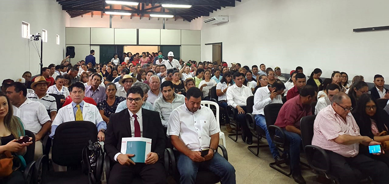 concepcion AP 1
