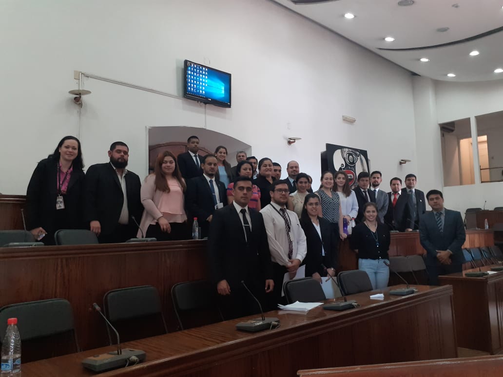 formación politica