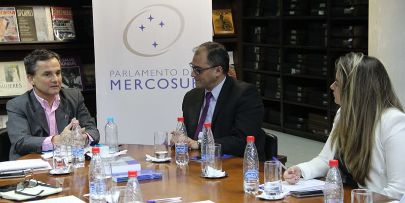 parlasur crimen organizado 1