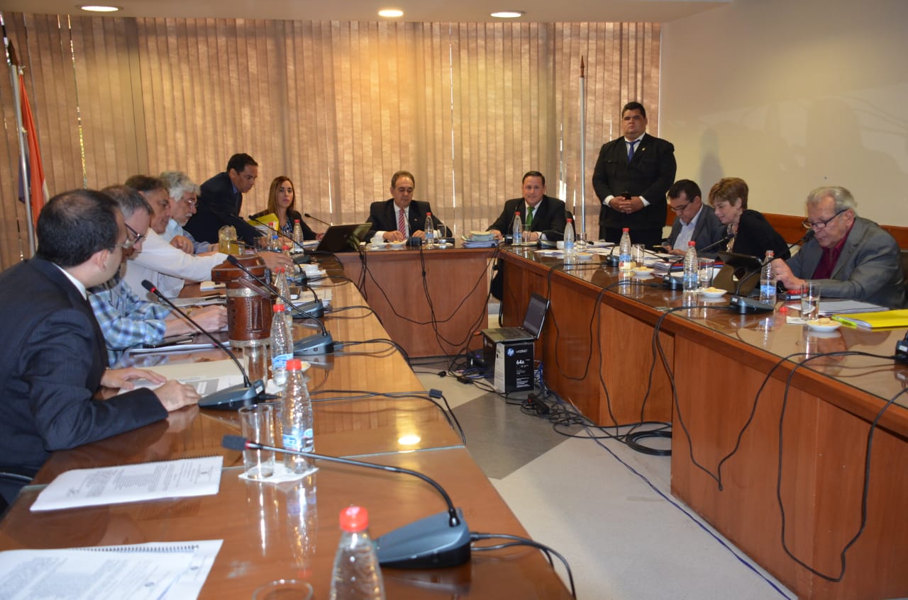 consitucionales 18 12 19