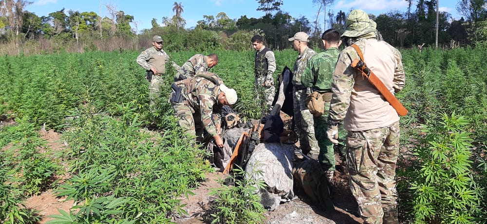 narcotrafico sen 2