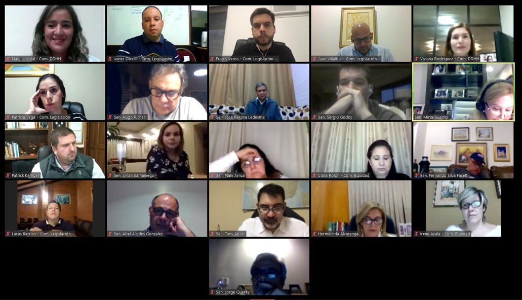 reunion conjunta legislacion DH y Equidad 
