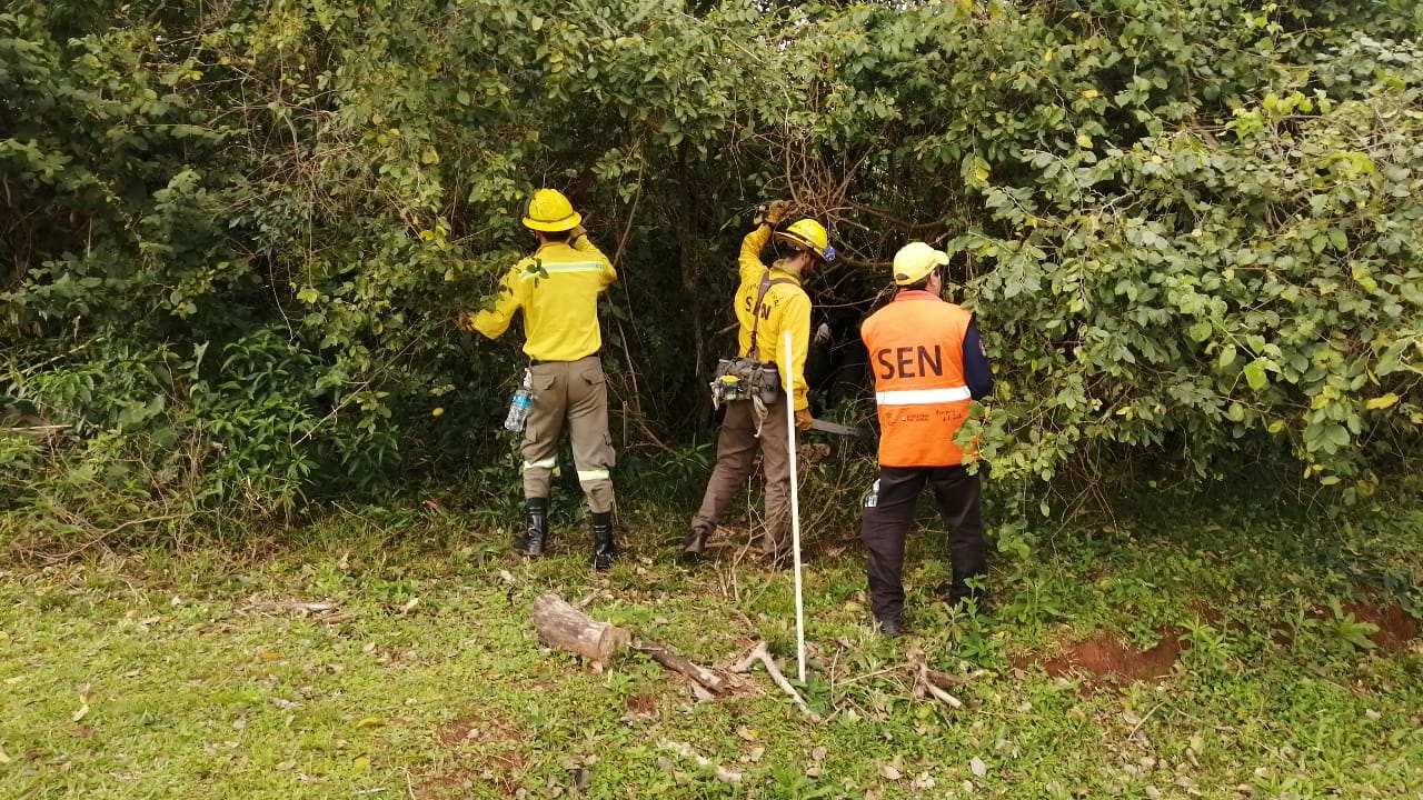 Taller incendios (4).jpeg