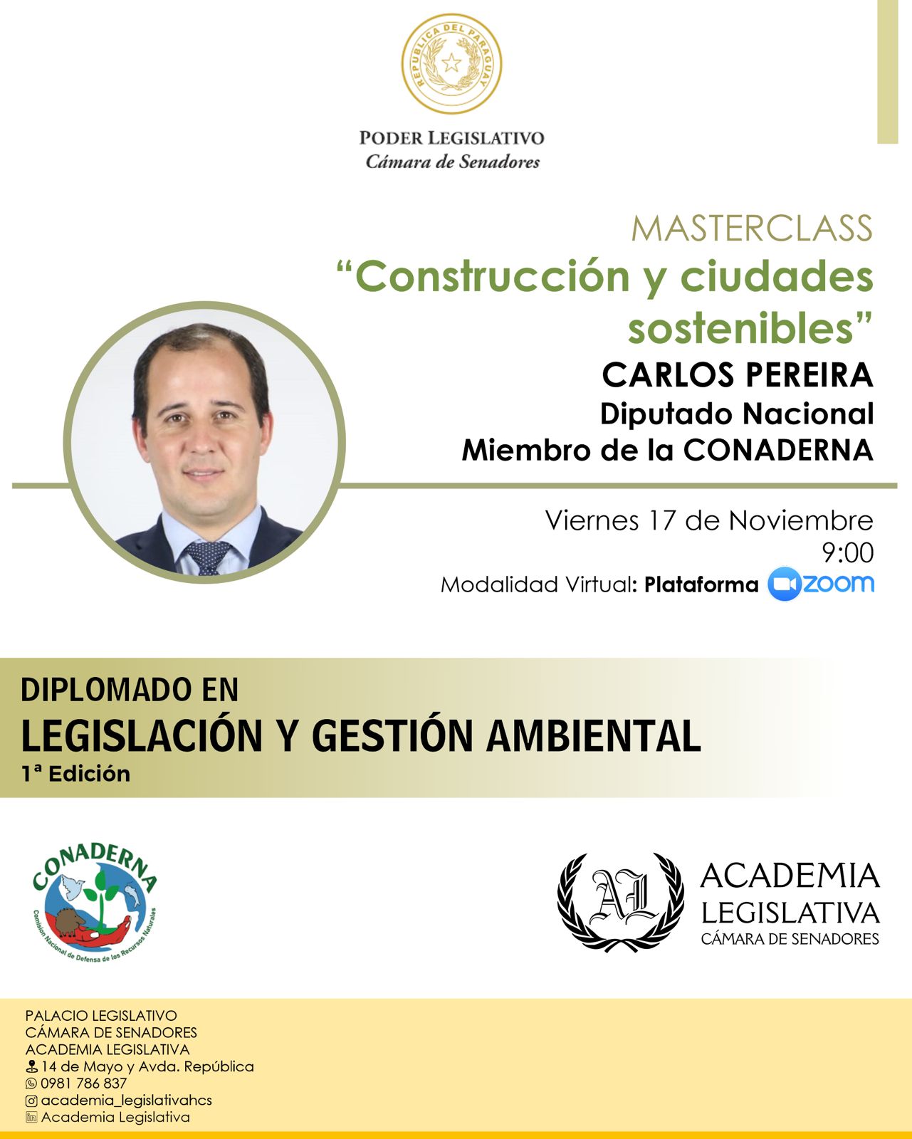 flyer diplomado.jpg