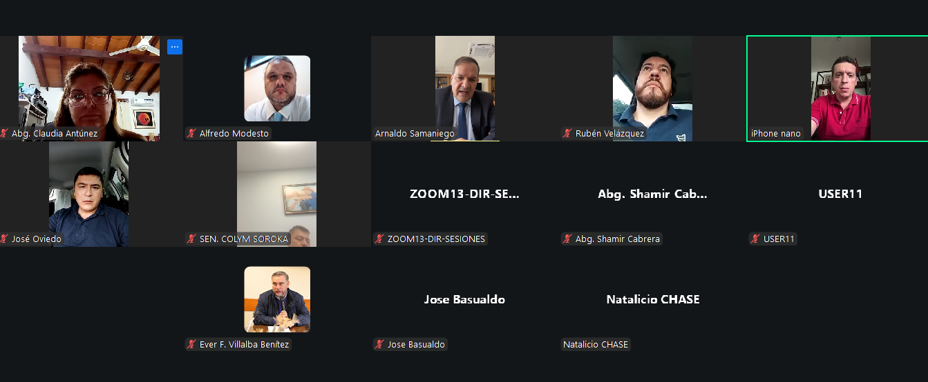 asuntos electorales.png