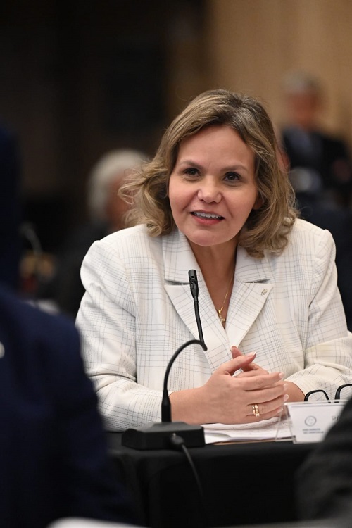 senadora Samaniego en parlasur