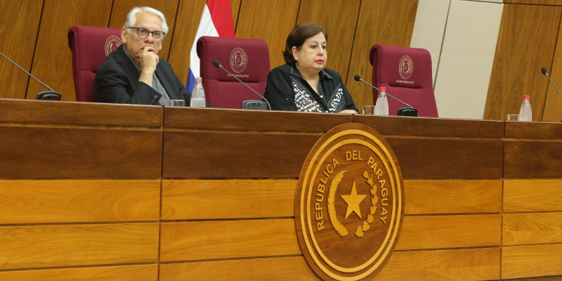En audiencia pública debatieron situación del sistema de salud paraguayo