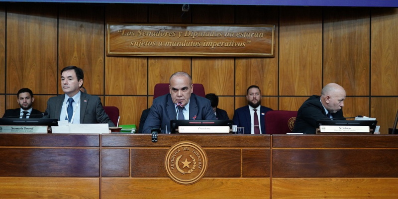 Media sanción al proyecto que regula el ejercicio profesional del farmacéutico