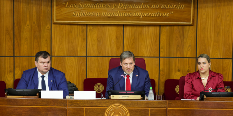 Comisión especial recibió a autoridades de Yacyretá y la ANDE