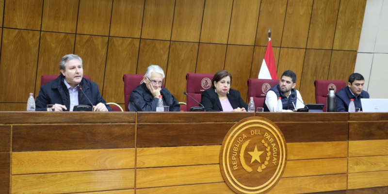 Senadores promueven debate sobre la revisión del Anexo C