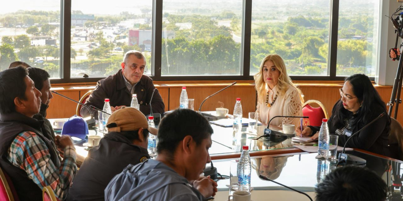 Comisión del Senado aborda situación de comunidades del Bajo Chaco