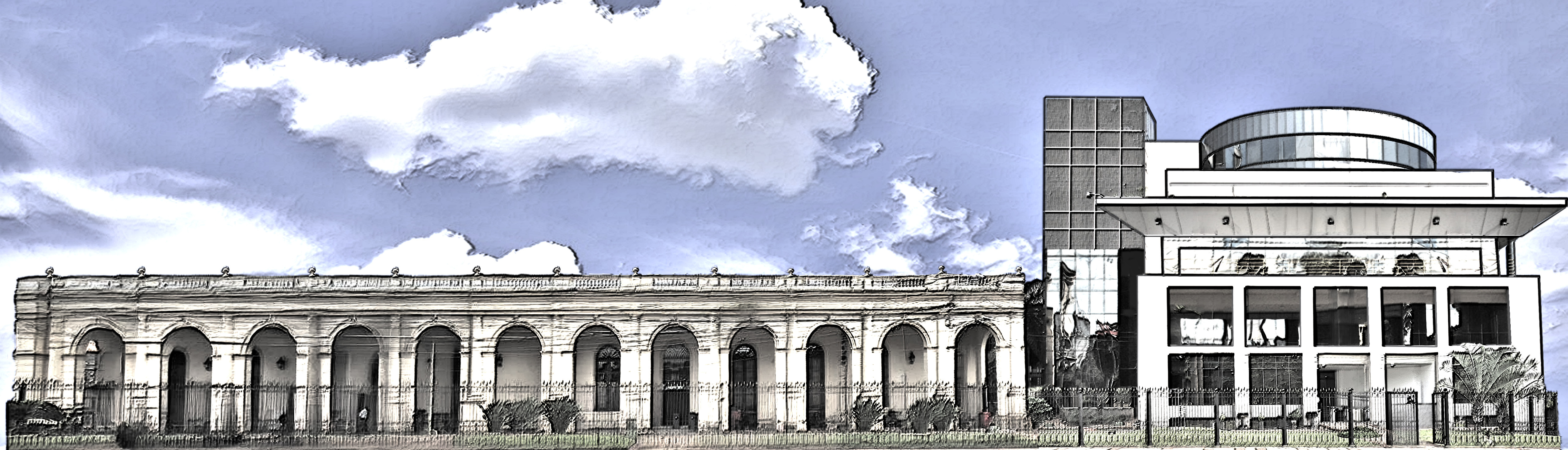 banner senado